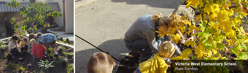 Victoria West Elementary School,Rain Garden